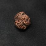 RUDRAKSHA 3 MUKHI